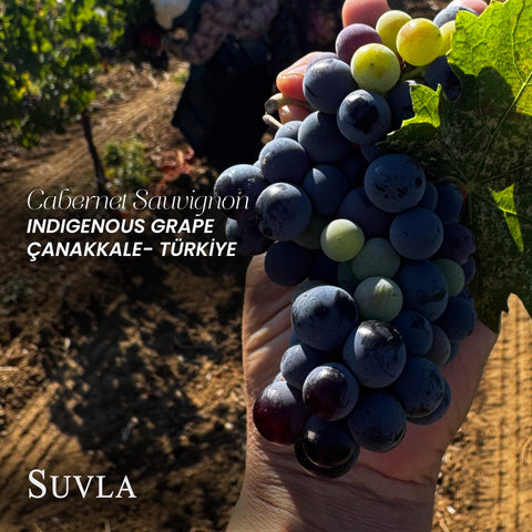 Suvla Cabernet Sauvignon BA