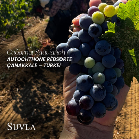 Suvla Cabernet Sauvignon BA