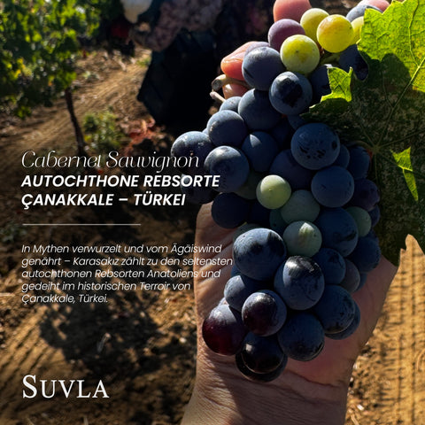Suvla Reserve Cabernet Sauvignon