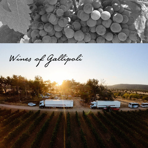 Suvla Reserve Cabernet Sauvignon
