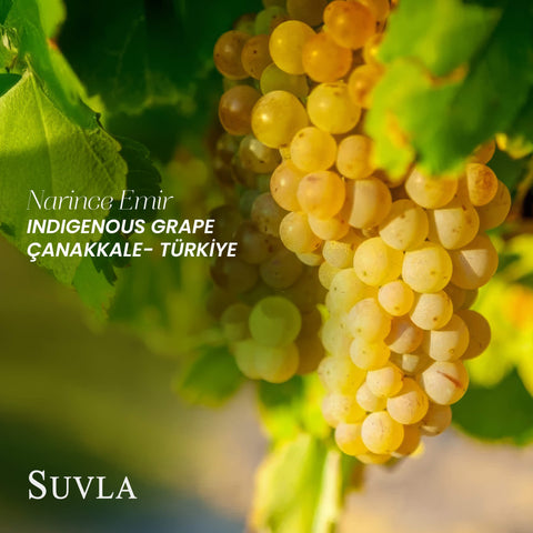 Kumkale Narince - Emir