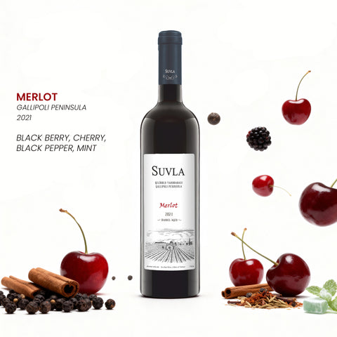 Suvla Merlot BA