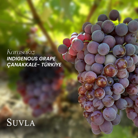 Suvla Reserve Karasakız