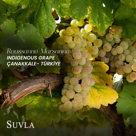 Suvla Reserve Roussanne Marsanne