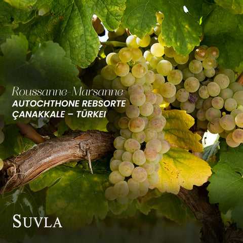 Suvla Reserve Roussanne Marsanne