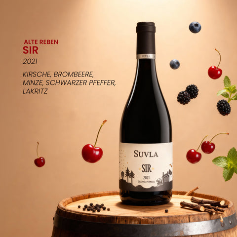 Suvla Secret