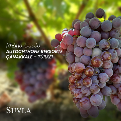 Suvla Secret